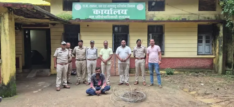 रायगढ़ में जंगली सुअर के शिकार के लिए बिछाया 11 KV करंट का खौफनाक जाल, दो गायों की तड़पकर मौत..